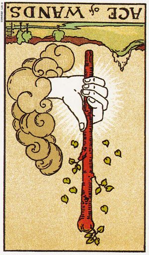 туз жезлів перевернутий таро