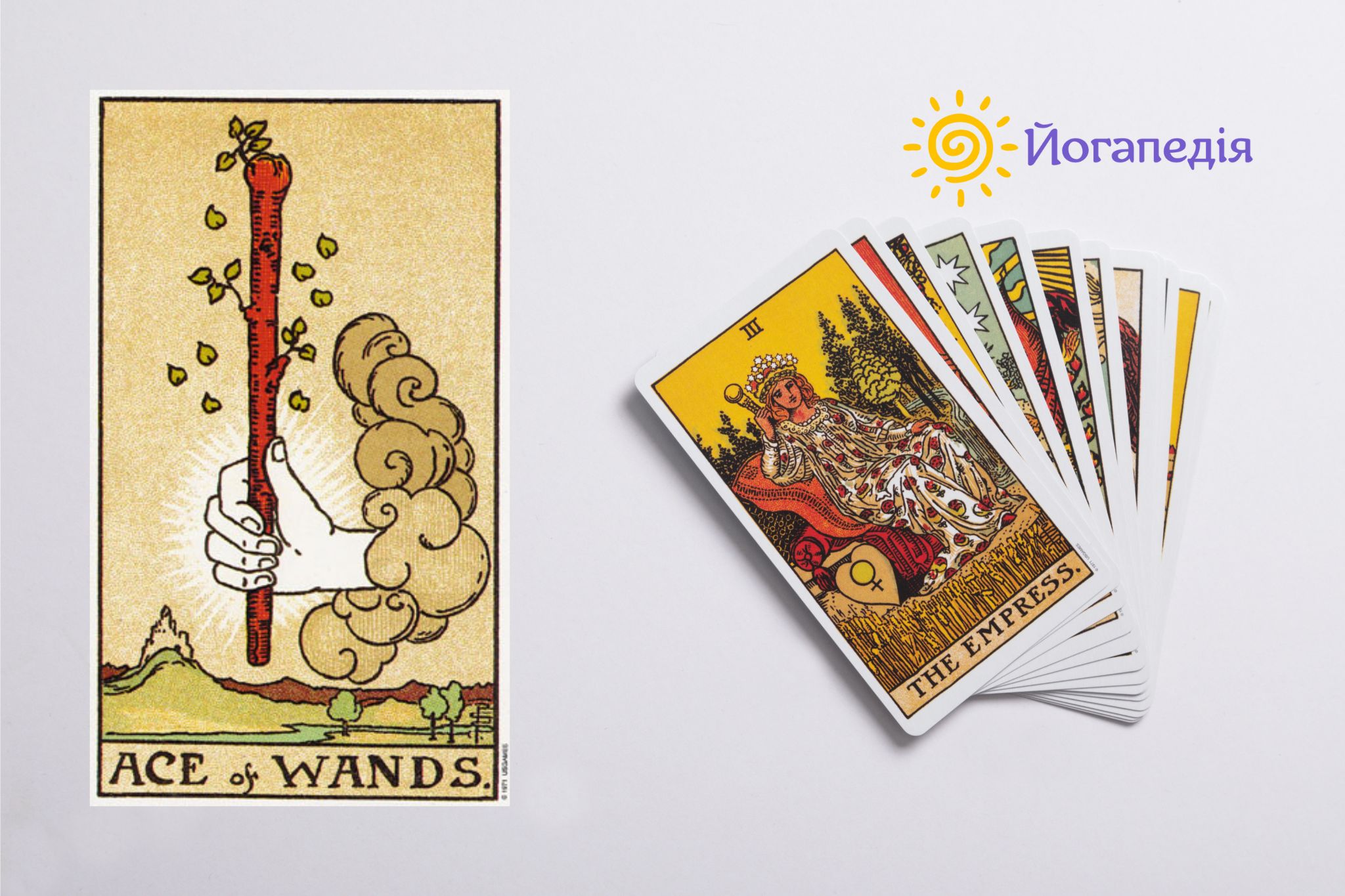 туз жезлів таро