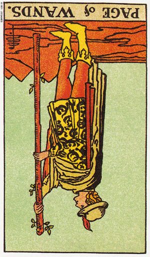таро паж жезлів перевернутий