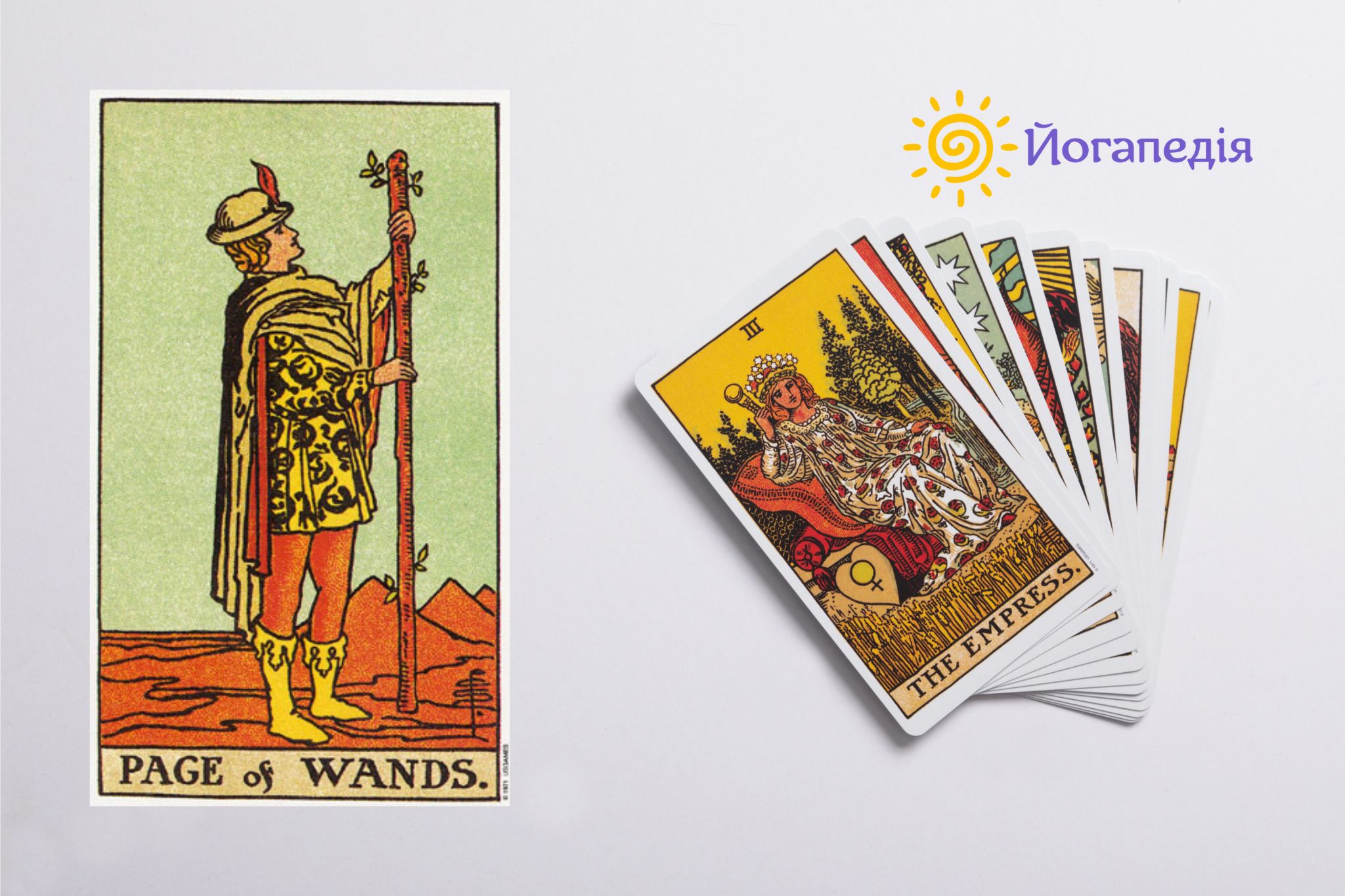 таро паж жезлів