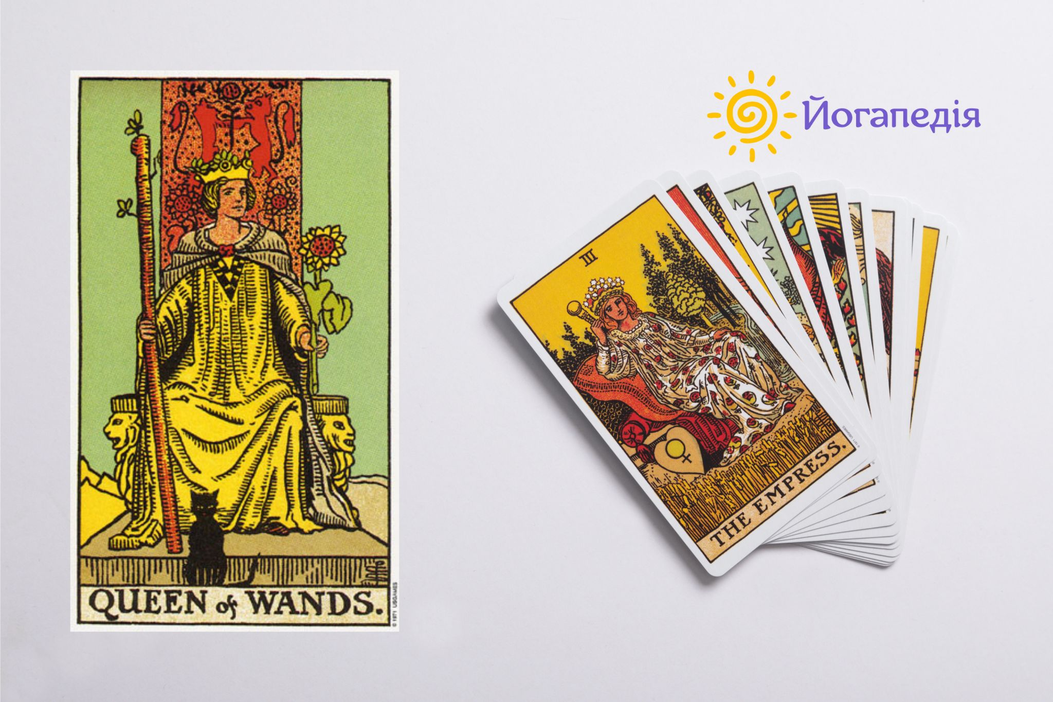 таро королева жезлів