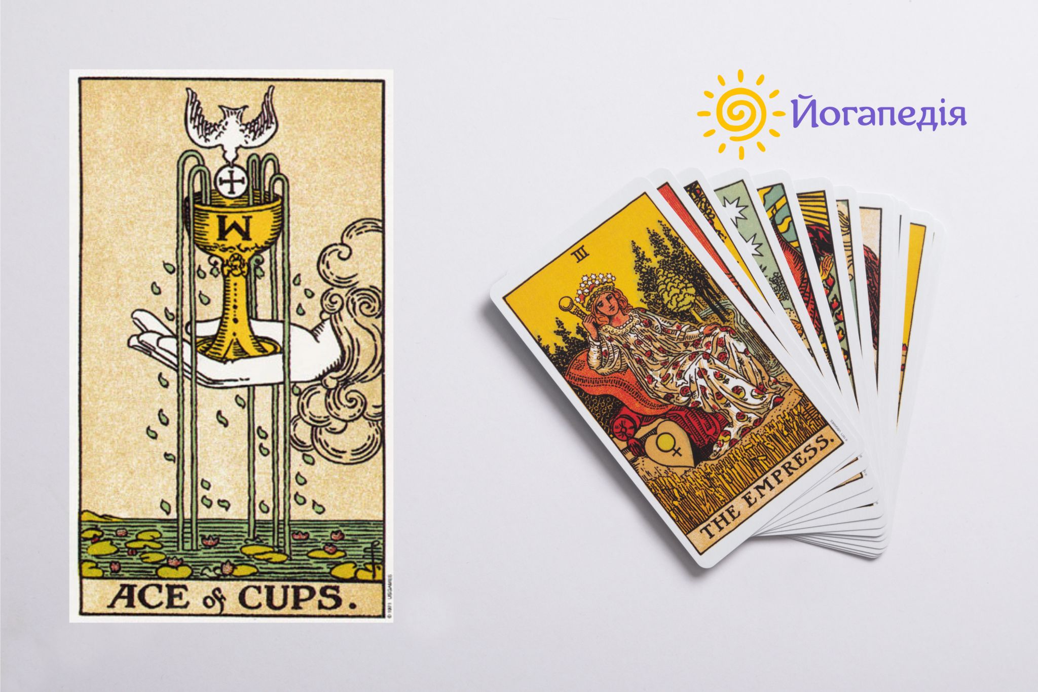 таро туз кубків